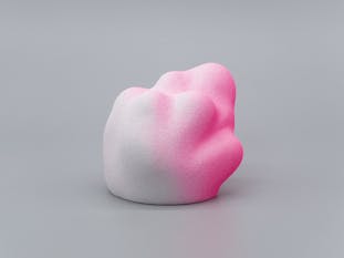 Gradation Form (W/NP) #01